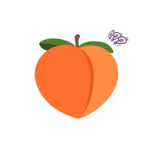Quickie – La FAQ du cul 🍑